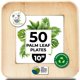 thumbnail image 1 of Platos desechables KoalaLove Palm Leaf de 25 cm, paquete de 50, 1 of 8