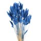 thumbnail image 1 of Uxcell 120 piezas de flores secas de colas de conejo natural 17" Mini Pampas Grass Lagurus Ovatus Ramo para Decoración Floral de Boda, Azul Marino, 1 of 6