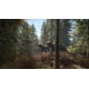 thumbnail image 4 of Videojuego theHunter: Call of the Wild para Xbox One, 4 of 6
