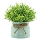 thumbnail image 5 of Pequeñas Plantas Artificiales En Maceta Para Bodas, Oficina, Orquídea Falsa, Flor De Frijol En Maceta Verde., 5 of 5