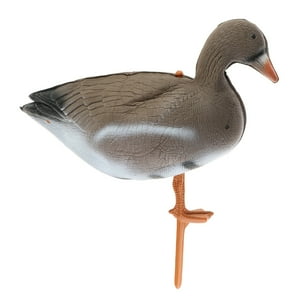 Sharplace - Señuelo De Ganso 3D, Tamaño Completo Para Caza, Verde