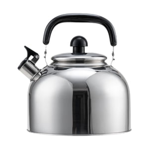 Bothyi - Hervidor Con Silbido, Olla De Ebullición Rápida Portátil Con Mango Para Cocina A Gas, Viaje, 4L