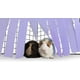 thumbnail image 4 of Escondite de vellón de esquina para cobayas, hurones, chinchillas, erizos, conejos enanos y otras mascotas pequeñas - Accesorios y juguetes, 4 of 6