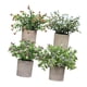 thumbnail image 1 of 4 Piezas De Pequeñas Plantas Falsas En Macetas Pequeñas Para Estante De Escritorio Estilo Hogareño, 1 of 5