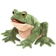 thumbnail image 1 of Títere De Mano Sapo Verde Y Beige Claro, 1 of 1