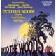 thumbnail image 1 of CD de música Masterworks Broadway – Into the Woods, 1 of 1