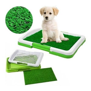 Oem - Baño Ecológico Para Mascotas