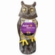 thumbnail image 1 of Escultura solar Owl Garden Owlsome con detector de movimiento, 1 of 6