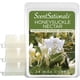 thumbnail image 1 of Aroma de néctar de madreselva Wax Melts Scentsationals, 300 ml (24 cubos), 1 of 7