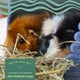 thumbnail image 3 of Heno Timothy 425 G Para Conejo Cobaya Y Chinchilla, 3 of 9