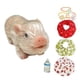 thumbnail image 3 of Juguete De Cerdo Renacido En Miniatura Divertido Para La Decoración Del Hogar Accesorios Para Fotos Regalo De Cumpleaños Estilo A, 3 of 5