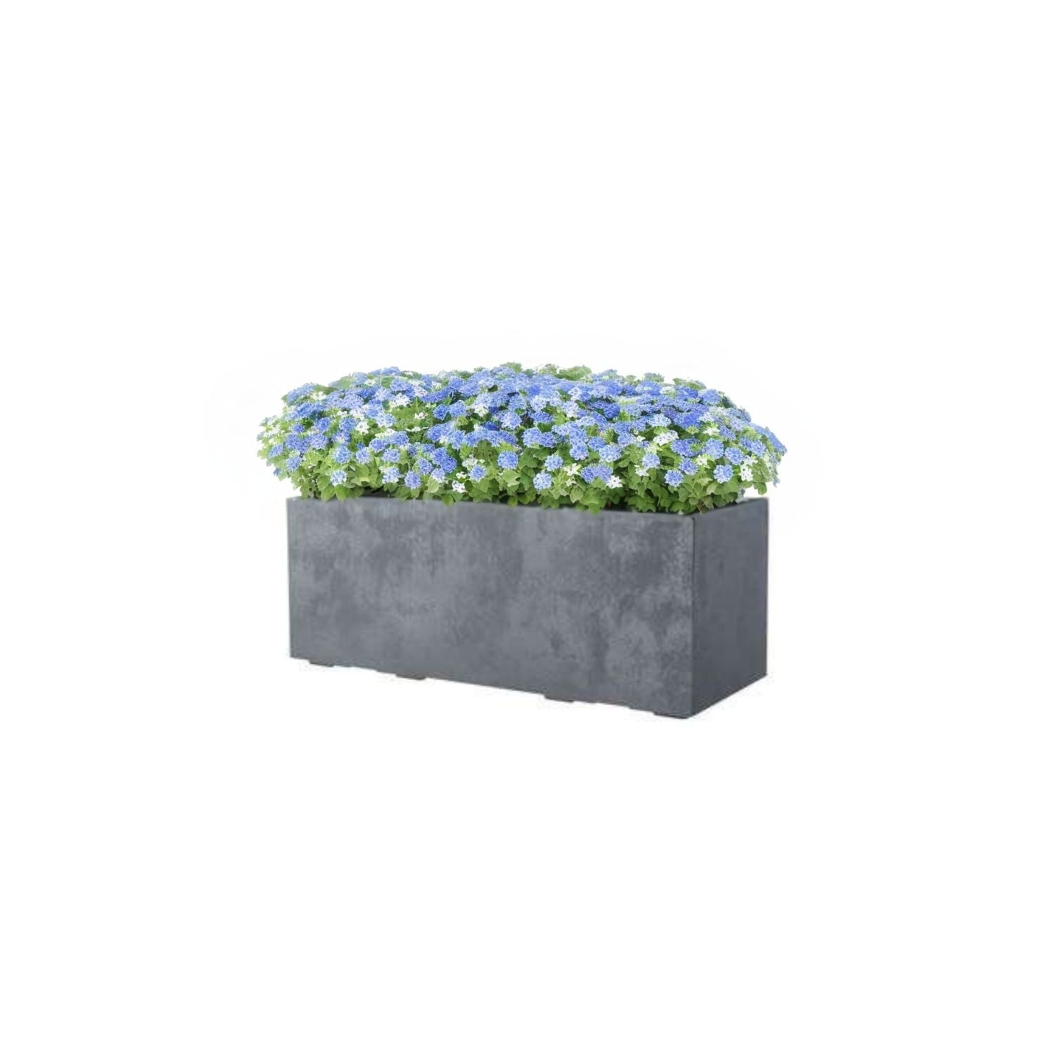 Jardinera Deroma 60x25cm Cemento