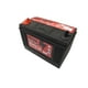 thumbnail image 5 of Bateria 100 Amp 900 CCA Borne Con Perno, 5 of 8