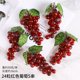 thumbnail image 1 of suxuMhao Uvas Artificiales, 5 Packs de 6.3 IN Fruta de Simulación, Racimo de 24 Uvas Frutas Falsas, Fruta Falsa para Decoración Del Hogar, Frutas y Verduras Artificiales Decoración Fruta para, 1 of 5