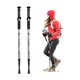 thumbnail image 1 of Pack 2 Bastón Trekking Antishock Plegable 3 Tramos Aluminio Gris, 1 of 5
