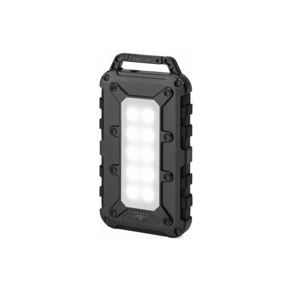 Batería externa portátil Lion Energy Lion Cub 10,000 mAh con luz LED de 50 lúmenes