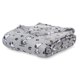 thumbnail image 1 of Manta de felpa Berkshire Blanket Peanuts® VelvetLoft® Snoopy, 1 of 8