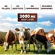 thumbnail image 3 of Hígado Vacuno Grass-Fed Vitamatic 180 Cápsulas Liofilizado, 3 of 3