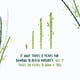 thumbnail image 5 of Papel higiénico NooTrees, 3 capas, 220 hojas, 12 rollos, 4 paquetes, 5 of 6