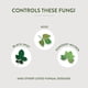 thumbnail image 1 of Fungicida Garden Safe 3 en 1 Spray 946ml Aceite Neem, 1 of 3