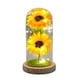 thumbnail image 1 of Regalo De Girasol Para Mujeres decoración Del Hogar De Flores Del Sol ramo De Girasol Conservado En Cúpula De Vidrio regalos De Cumpleaños Para Su Madre, 1 of 3