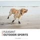 thumbnail image 2 of Zapatos Para Perros Para Pavimento Caliente, Botas Para Perros Medianos Y Grandes, Botines Impermeables Para Perros Con Suela Antideslizante Y Protectores De Patas, 4 Unidades, 2 of 6