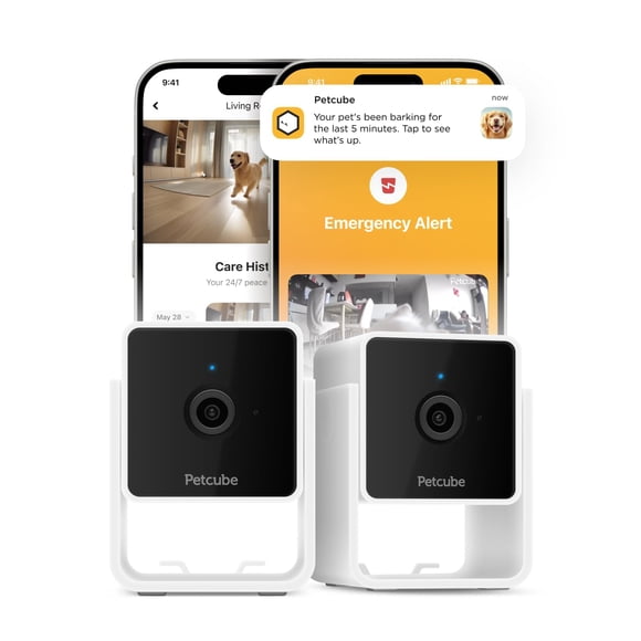 Cámara de seguridad para mascotas con Wi-Fi para interiores Petcube Cam 1080p HD x2