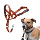 thumbnail image 1 of Collar de cabeza Halti talla 1 Naranja Quemado – Entrenamiento, 1 of 5