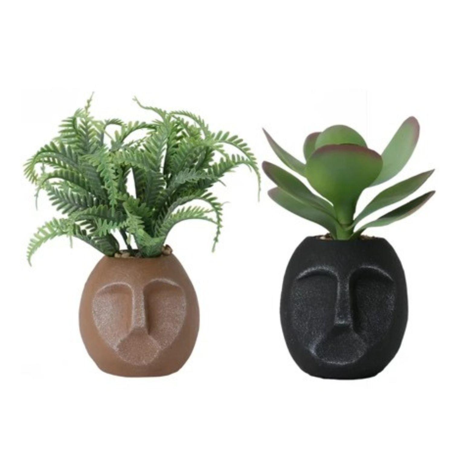 Homeessentials - Set 2 Maceteros De Resina Con Suculentas