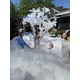 thumbnail image 4 of Paquete De Espuma En Polvo Dr Party Para Foam Cannon 95 L, 4 of 9