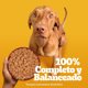 thumbnail image 4 of Alimento Húmedo Perro Adulto Sabor Pollo Pouch, 100 g, 4 of 9