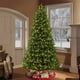 thumbnail image 3 of Guirnalda de luces navideñas Dazzle Bright 2000 LED, 50 m, resistente al agua, 3 of 3