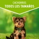 thumbnail image 3 of Sachet Dog Chow Cachorro Carne 20 Un., 3 of 8