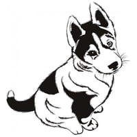 Rienda Libre Graphics - Decomural Husky Puppy Dog Ws-17580