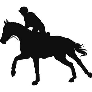 Rienda Libre Graphics - Decomural Equestrian Cantering Horse Rider Ws-80033