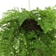 thumbnail image 2 of Planta Artificial Bola Helecho Colgante 35 CM, 2 of 3