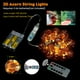 thumbnail image 3 of Luces decorativas JASHIKA 3D Acorn, 10 pies, 30 LED, USB con batería, 3 of 3