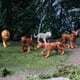 thumbnail image 3 of Set de minifiguritas Safari Ltd. Big Cats TOOB 9 piezas para niños a partir de 3 años, 3 of 6