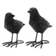 thumbnail image 4 of Estatuas De Cuervo De Resina De 2 Piezas, Simulación De Pájaro Falso Para Terraza, Patio, Lugares Escénicos, 4 of 5