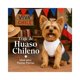 thumbnail image 2 of Traje de Huaso Chileno para Perro Talla XS, 2 of 10