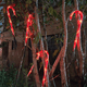 thumbnail image 5 of Set 5 Bastones De Navidad Luces Solares Navidad Jardin Hogar, 5 of 8