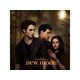 thumbnail image 2 of Juego de mesa Spin Master Games The Twilight Saga New Moon, 2 of 3