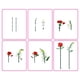 thumbnail image 5 of SET BLOQUES FLORES MAX- CON DIFERENTES MODELOS DE PIEZAS - LILY DEL VALLE Y ROSA, 5 of 7