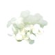 thumbnail image 1 of 130 Piezas De Lentejuelas Redondas Sueltas DIY, Lentejuelas Planas Para Hacer Joyas, Transparentes, 1 of 5