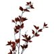 thumbnail image 2 of Rama Decorativa de Eucalipto Rojo 120 Cms., 2 of 4