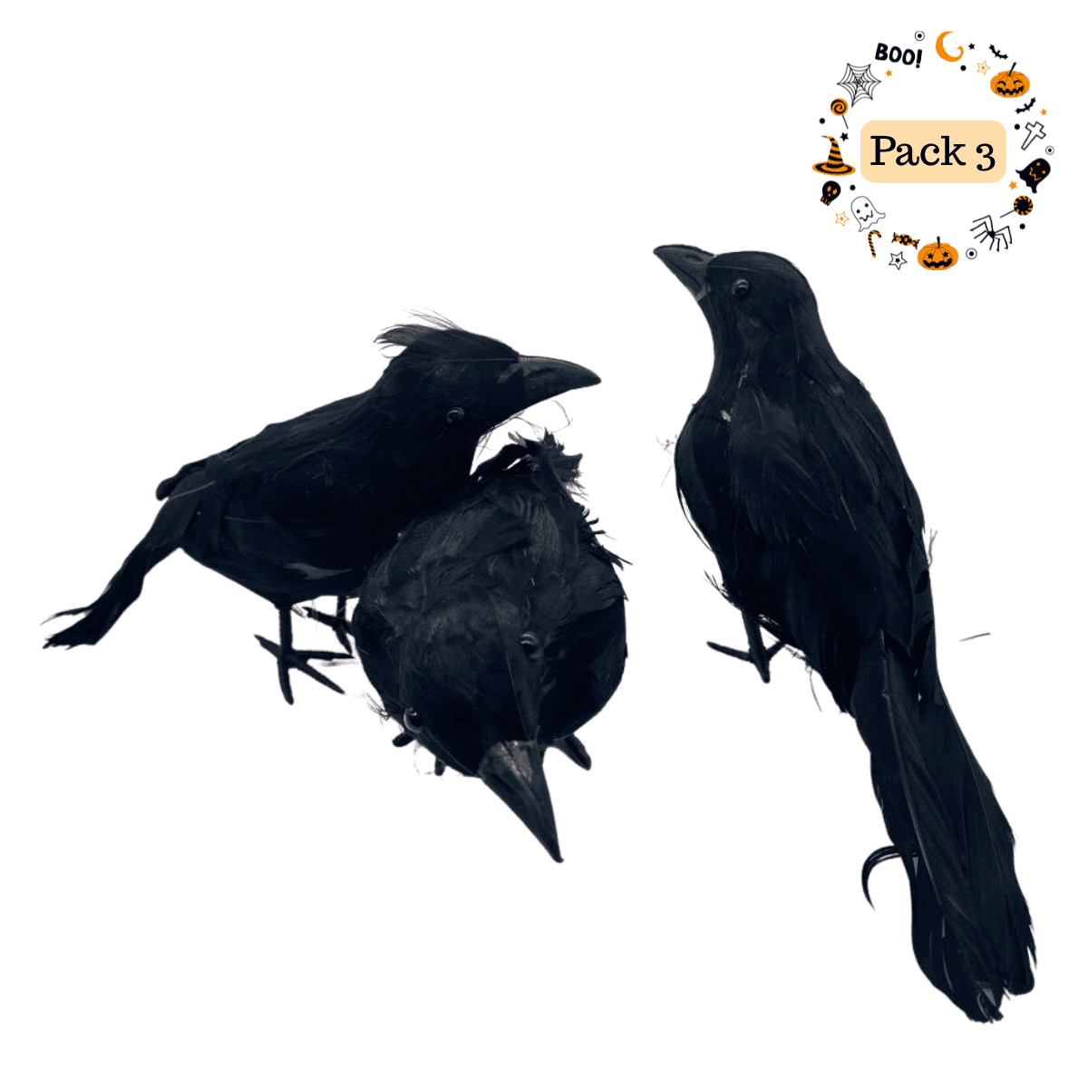 Genérico - Pack 3 Cuervos Realista Emplumado Negro Halloween 2025