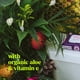 thumbnail image 3 of Toallitas Húmedas Desechables goodwipes XL 318 Lavanda Vitamina E Aloe, 3 of 8