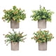 thumbnail image 1 of 4 Piezas De Pequeñas Plantas Falsas En Macetas Pequeñas Para Estante De Escritorio Estilo Hogareño, 1 of 5