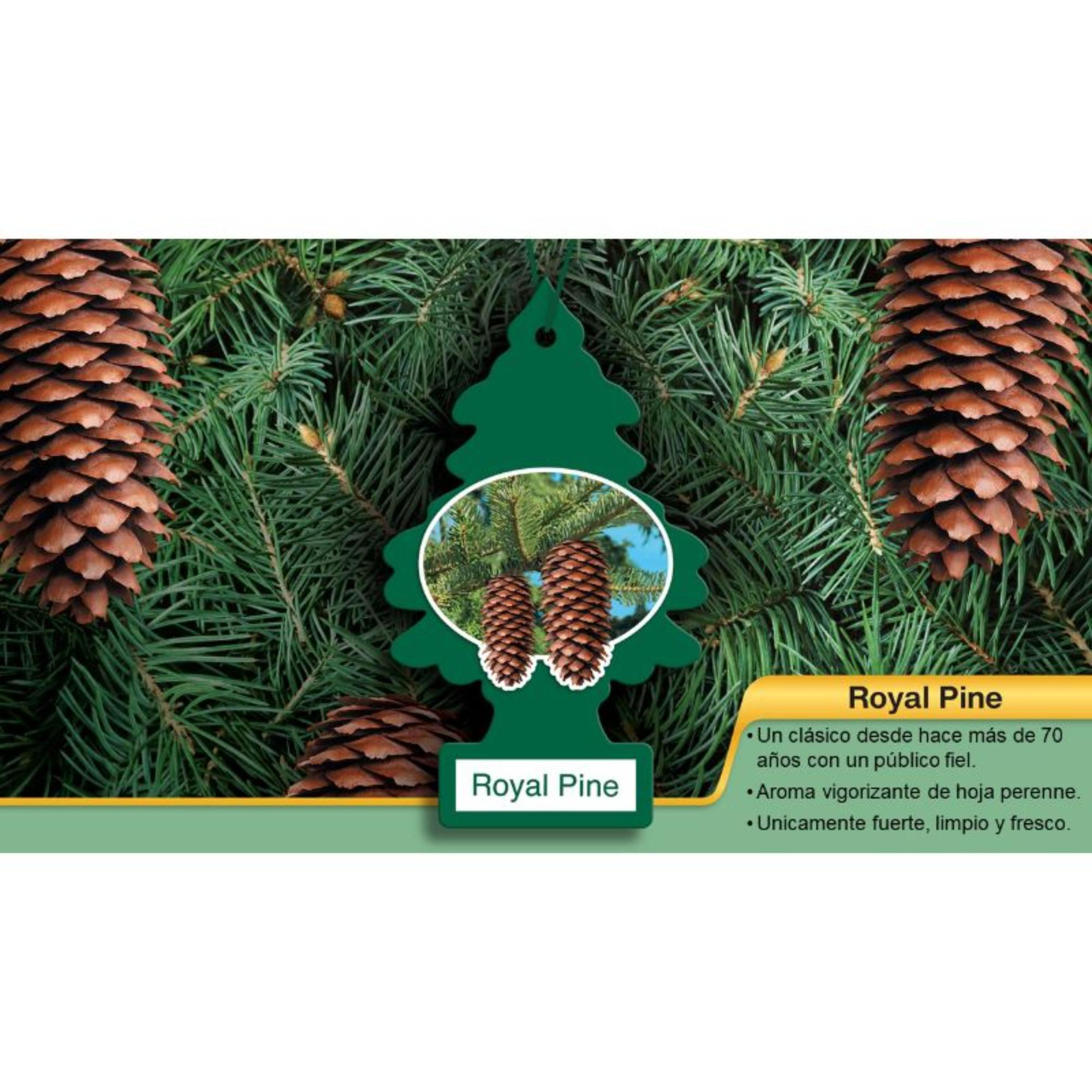 Pino Aromatizante Pino Real Little Trees