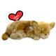 thumbnail image 1 of Petzzz Chihuahua Perfect Petzzz Peluche Realista 25 × 19 × 9 cm, 1 of 7